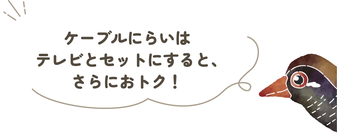 ケーブルにらいはテレビとセットにすると、さらにおトク！